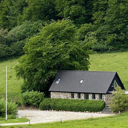 Stenhuset I Pilbrodalen 스칸데르보르 외부 사진